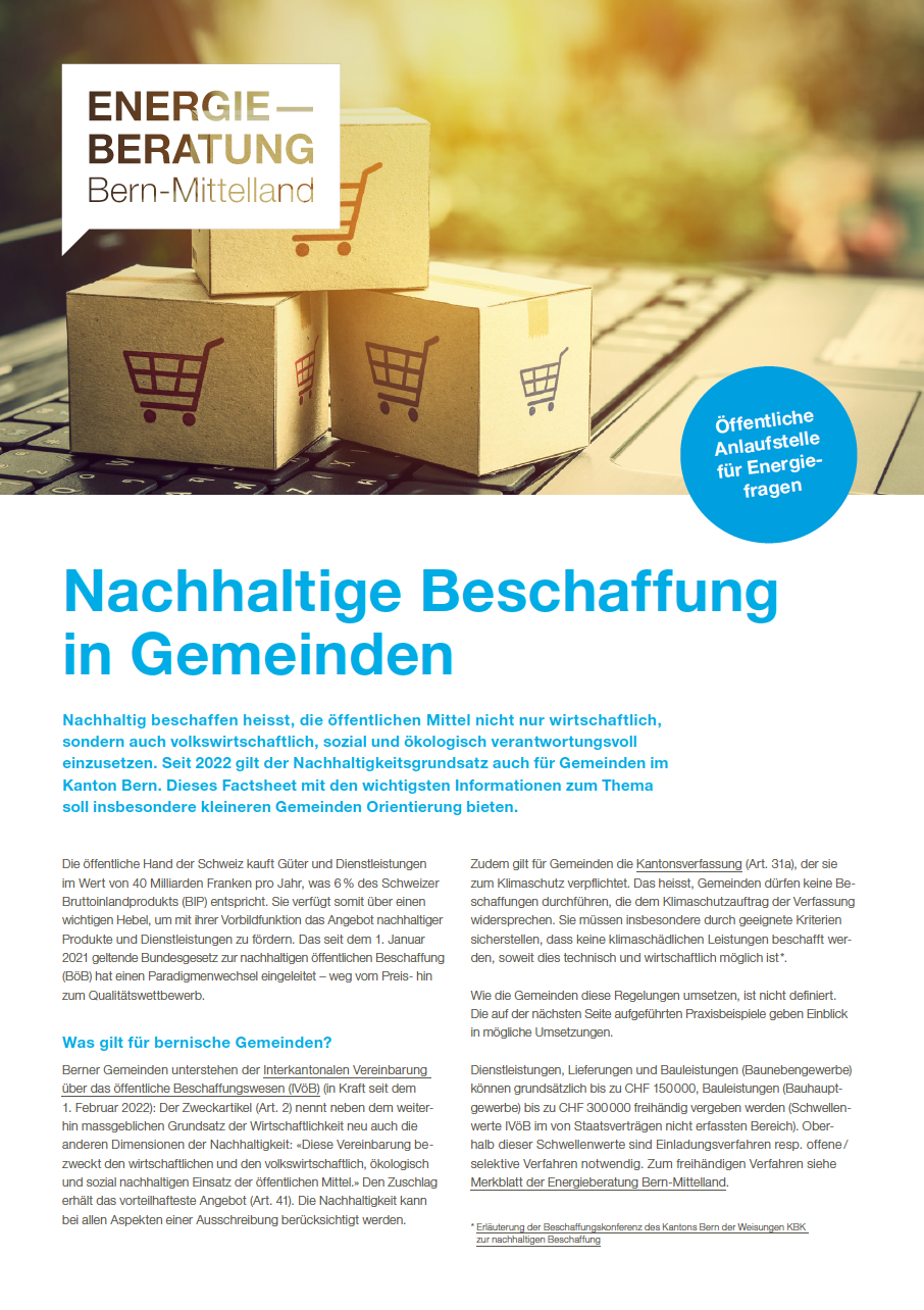 Factsheet: Nachhaltige Beschaffung in Gemeinden. Siehe Download.